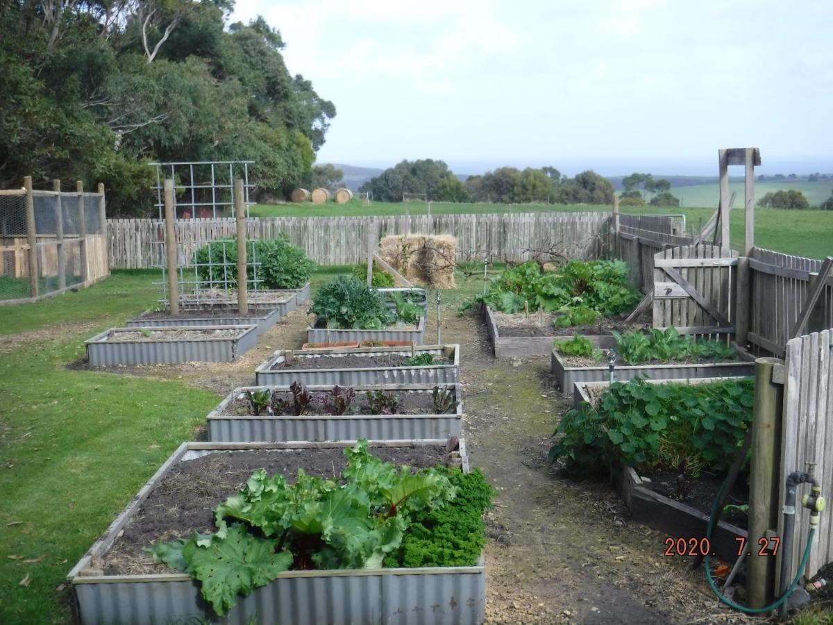 Arabella Country House Bed and Breakfast Princetown Exteriör bild